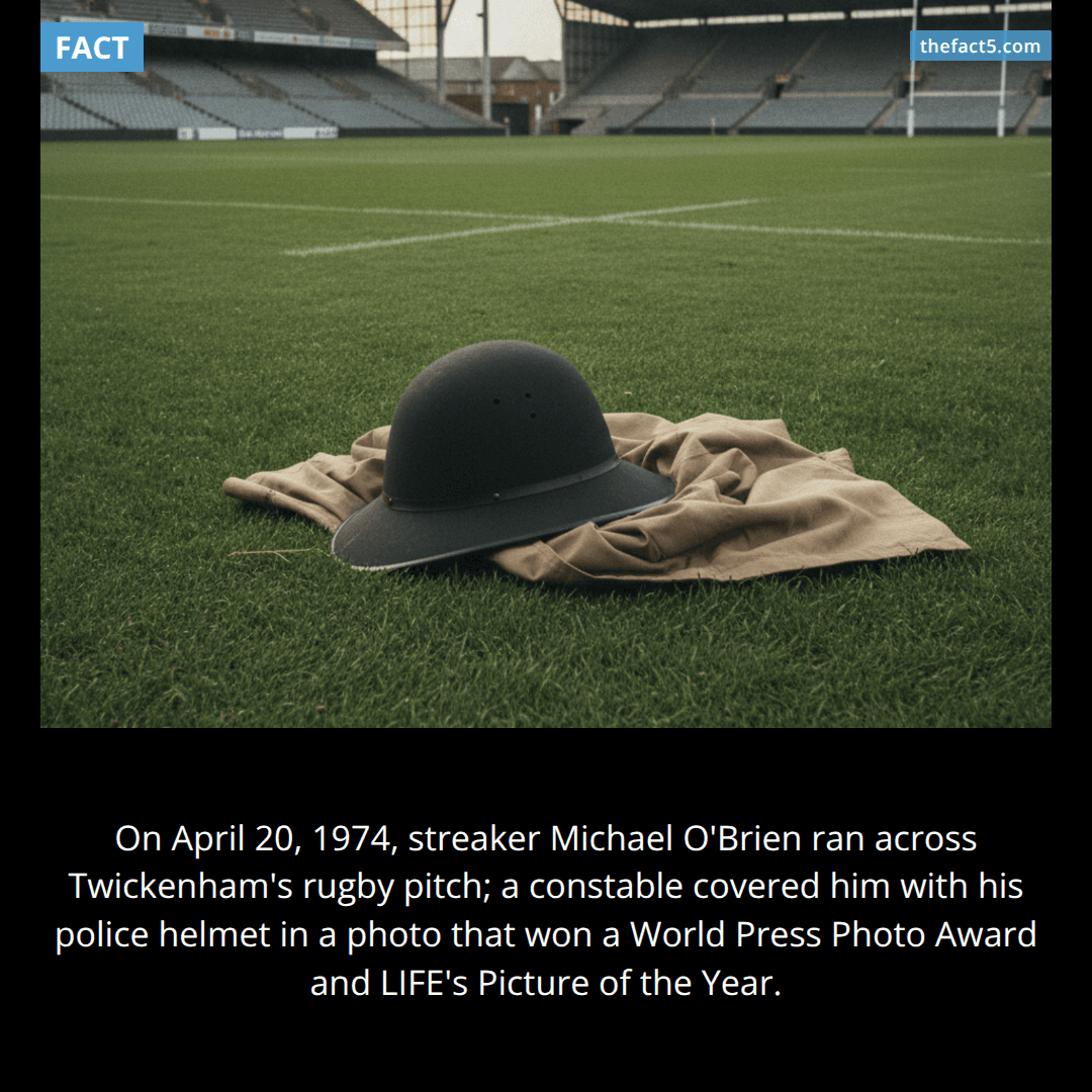 A police helmet became the most famous fig leaf in sports history 🎩