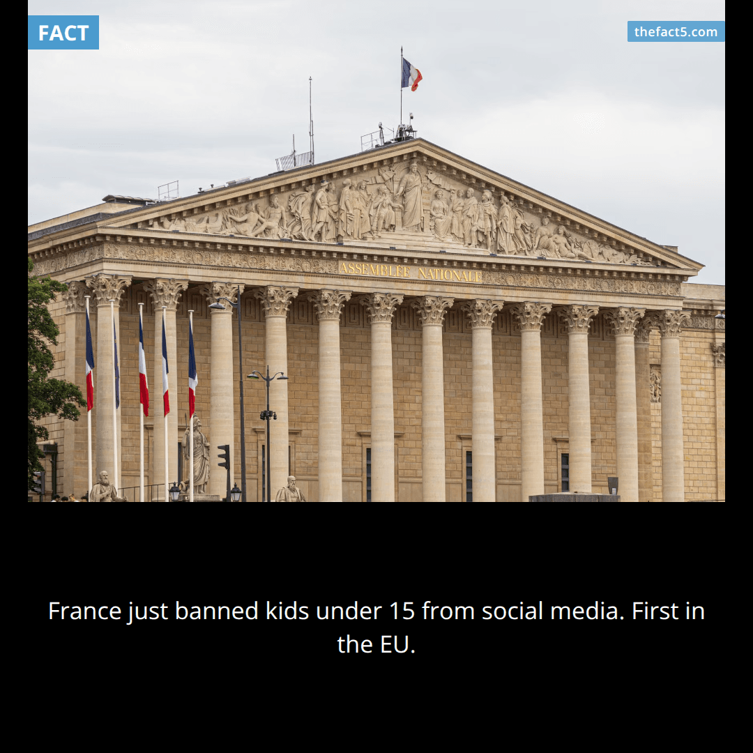 On July 21, 2026, France became the first EU country to ban social media for all children under 15, with both chambers of parliament voting in favor.