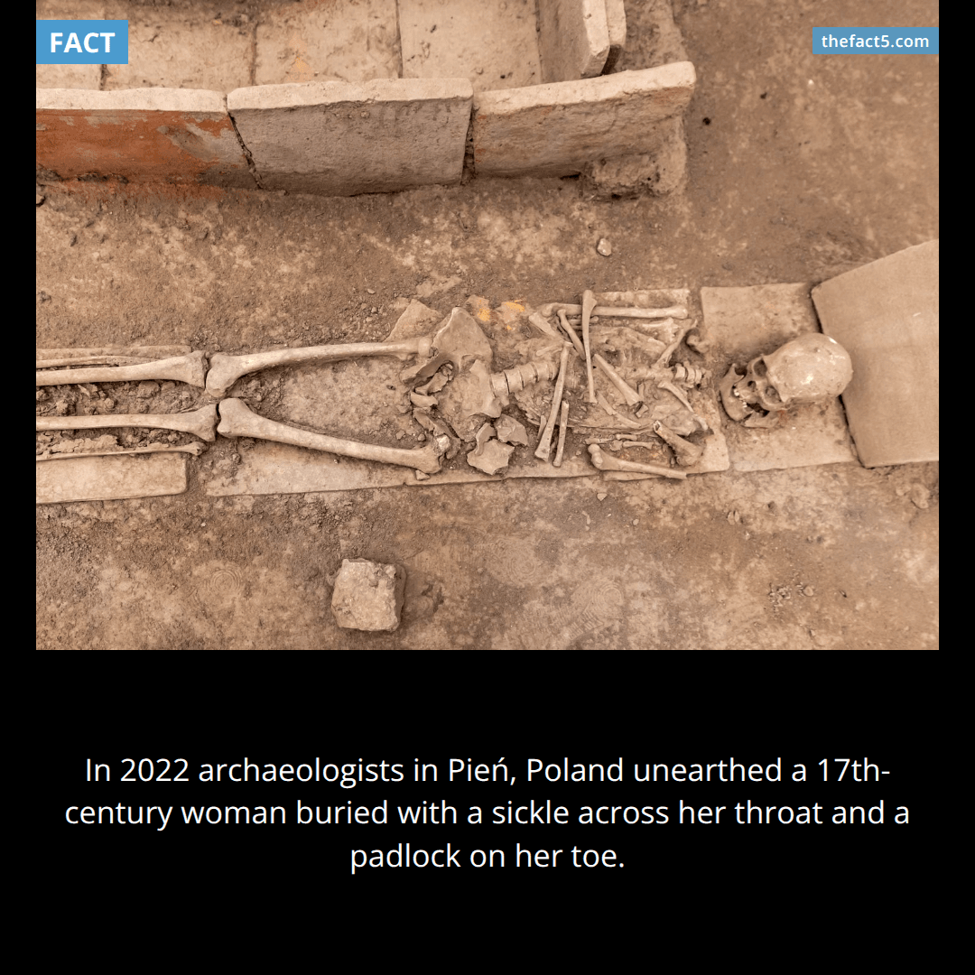 Poland buried its women with sickles across their throats. 🪦