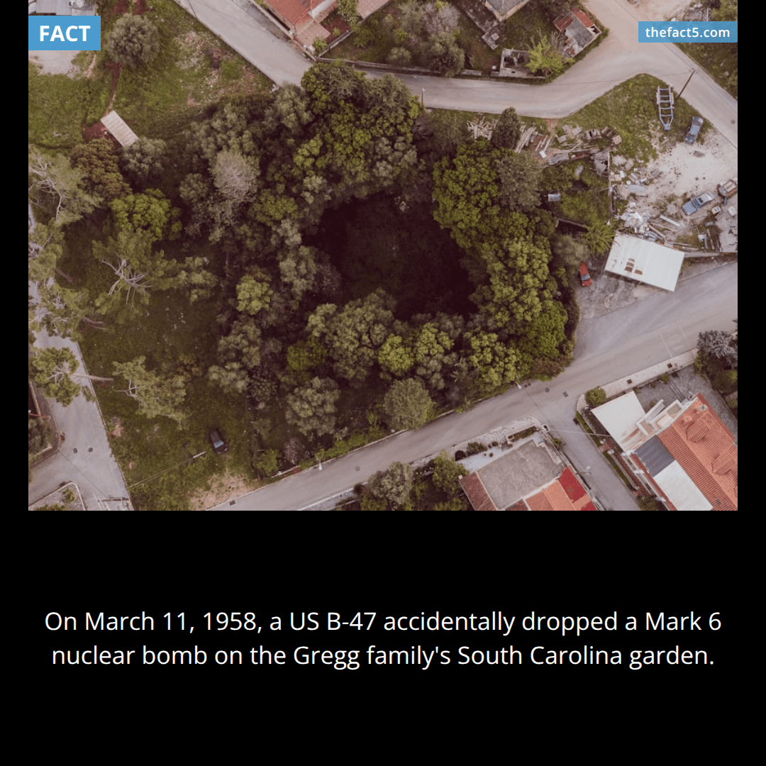 A US pilot dropped a nuclear bomb on a family's garden. ☢️