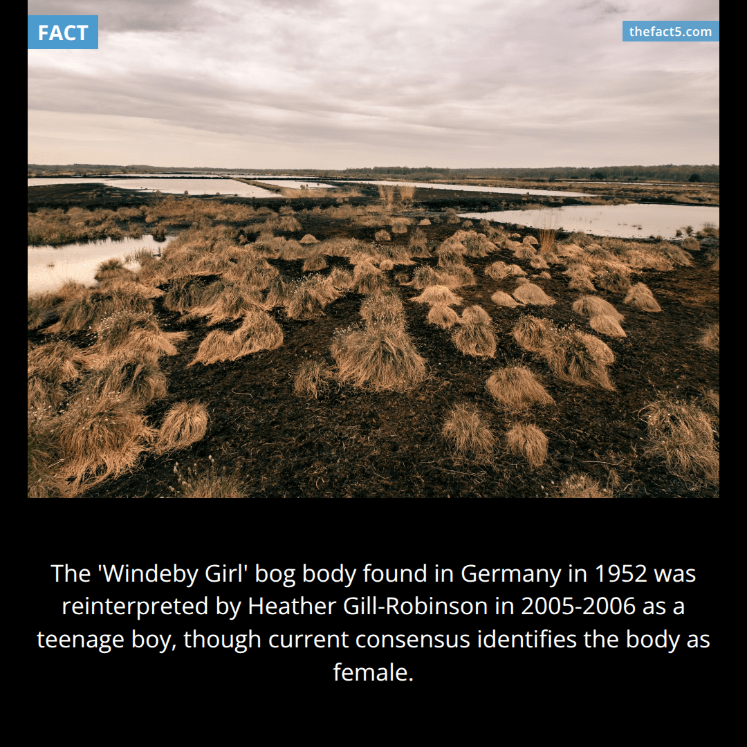 For decades she was the 'blindfolded girl of the bog.' 🪦