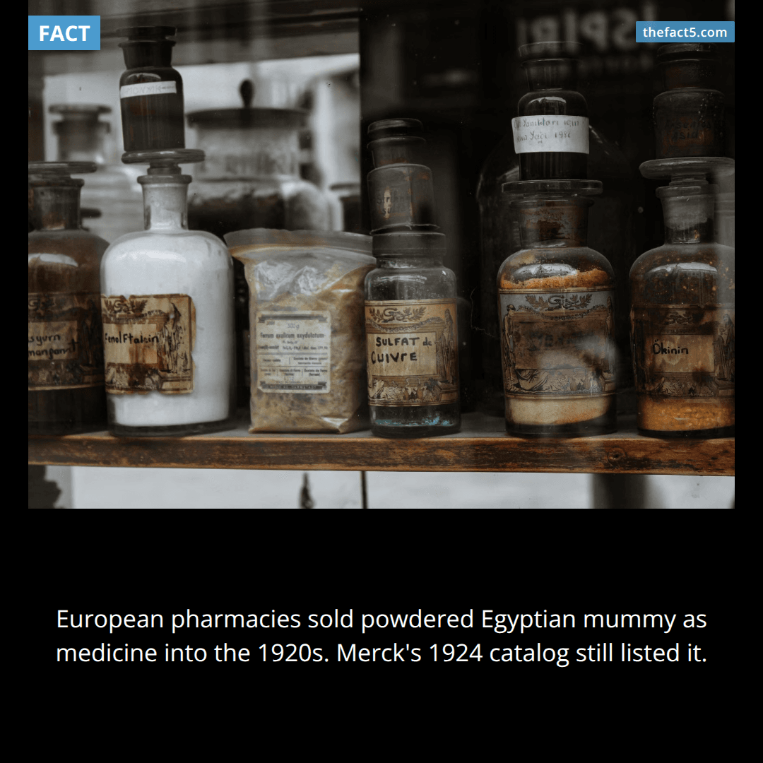 Europeans ate ground-up mummies as medicine — until 1924. ⚱️