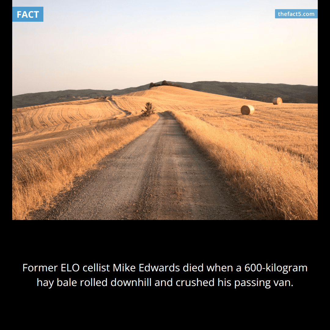 A 600-kilogram hay bale killed a rock musician. 🎻