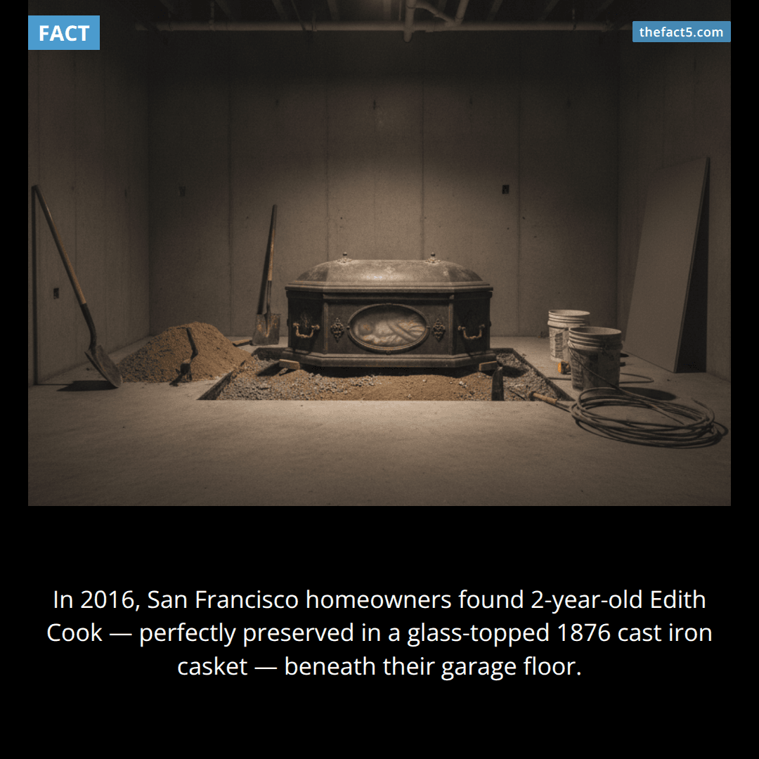 A family found a Victorian child buried under their garage. 🕯️