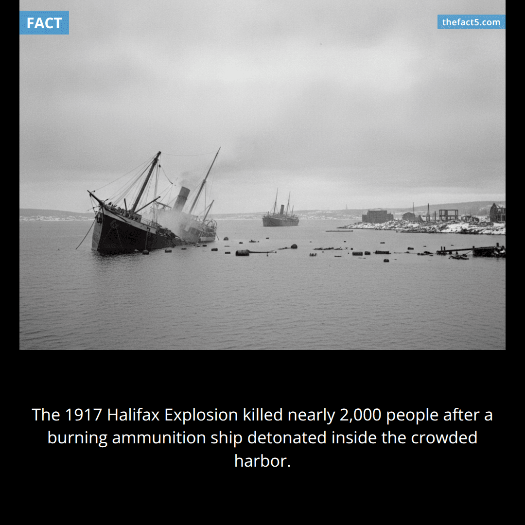 A ship explosion shattered windows 50 miles away. 💥