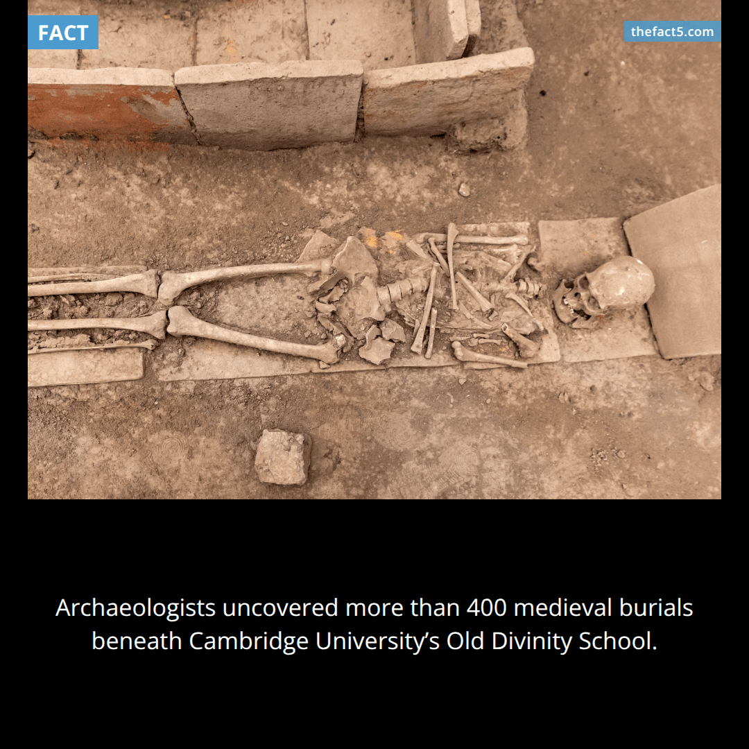More than 400 bodies were beneath a Cambridge building. 💀