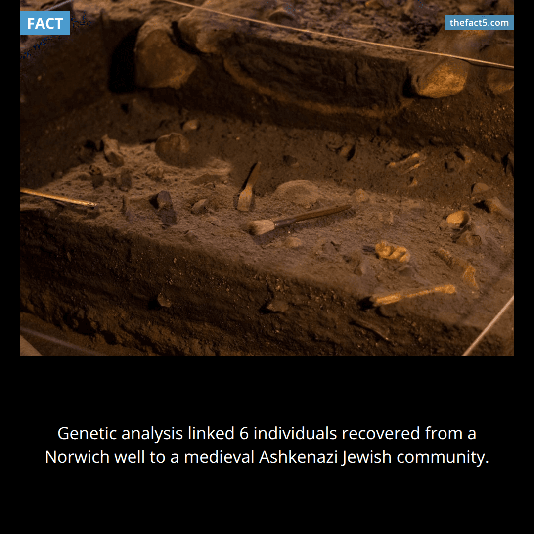 Seventeen bodies were found inside one medieval well. 💀
