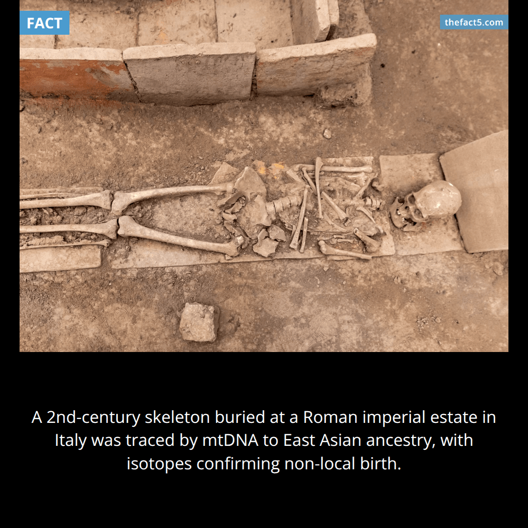 A Roman skeleton in Italy had East Asian ancestry. 💀