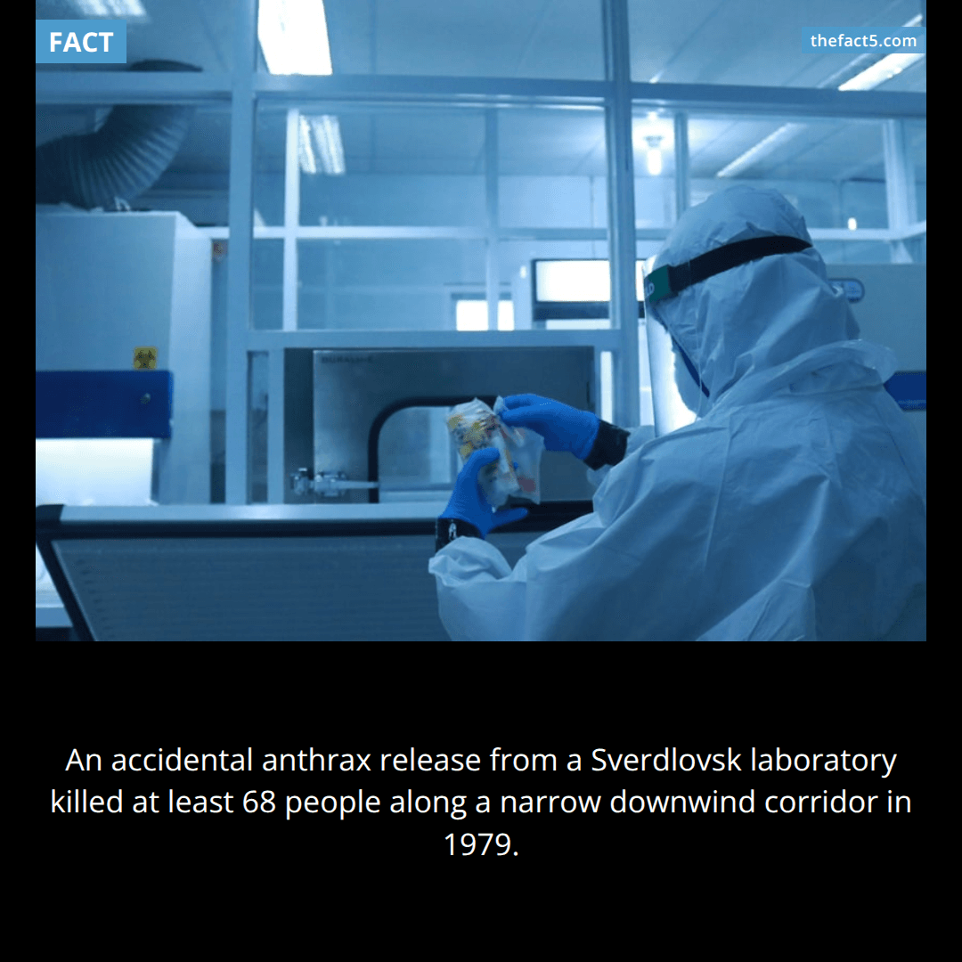 One missing filter helped kill at least 68 people. ☣️