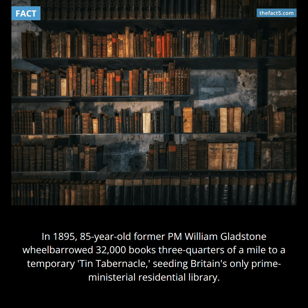 An 85-year-old ex-Prime Minister wheelbarrowed 32,000 books to his own library. 📚