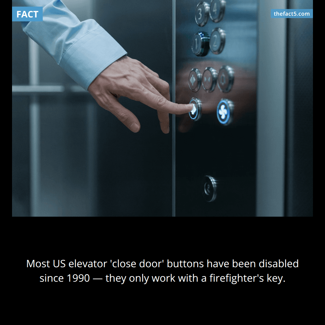 That elevator button does nothing 🛗