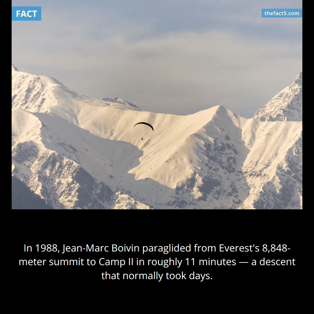He jumped off Everest's summit with a parachute. 🪂