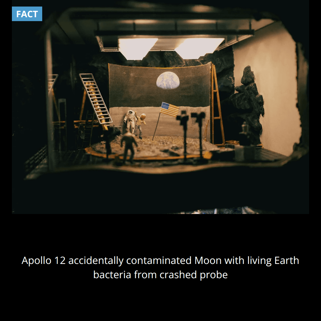 In 1969, NASA accidentally contaminated the Moon with Earth bacteria when Apollo 12 astronauts retrieved parts from an unmanned probe that had crashed there.