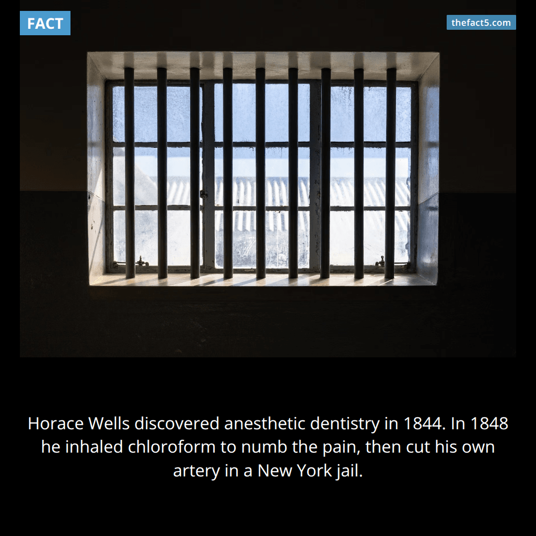 The father of anesthesia numbed himself to death. 🦷