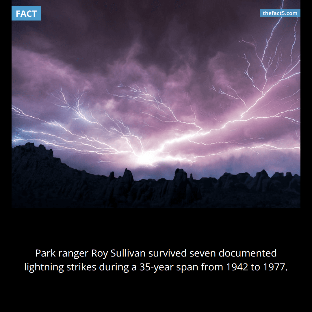Lightning struck Roy Sullivan seven separate times. ⚡