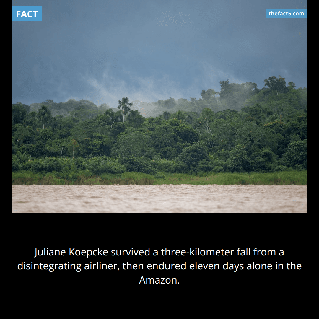 Juliane fell 3,000 meters—and woke up alive. 🌧️
