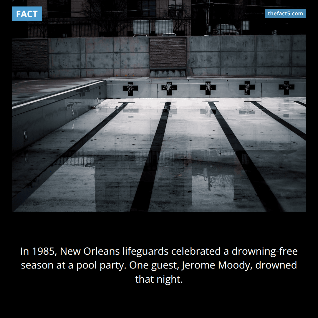 Lifeguards threw a party to celebrate zero drownings. One guest drowned. 🏊