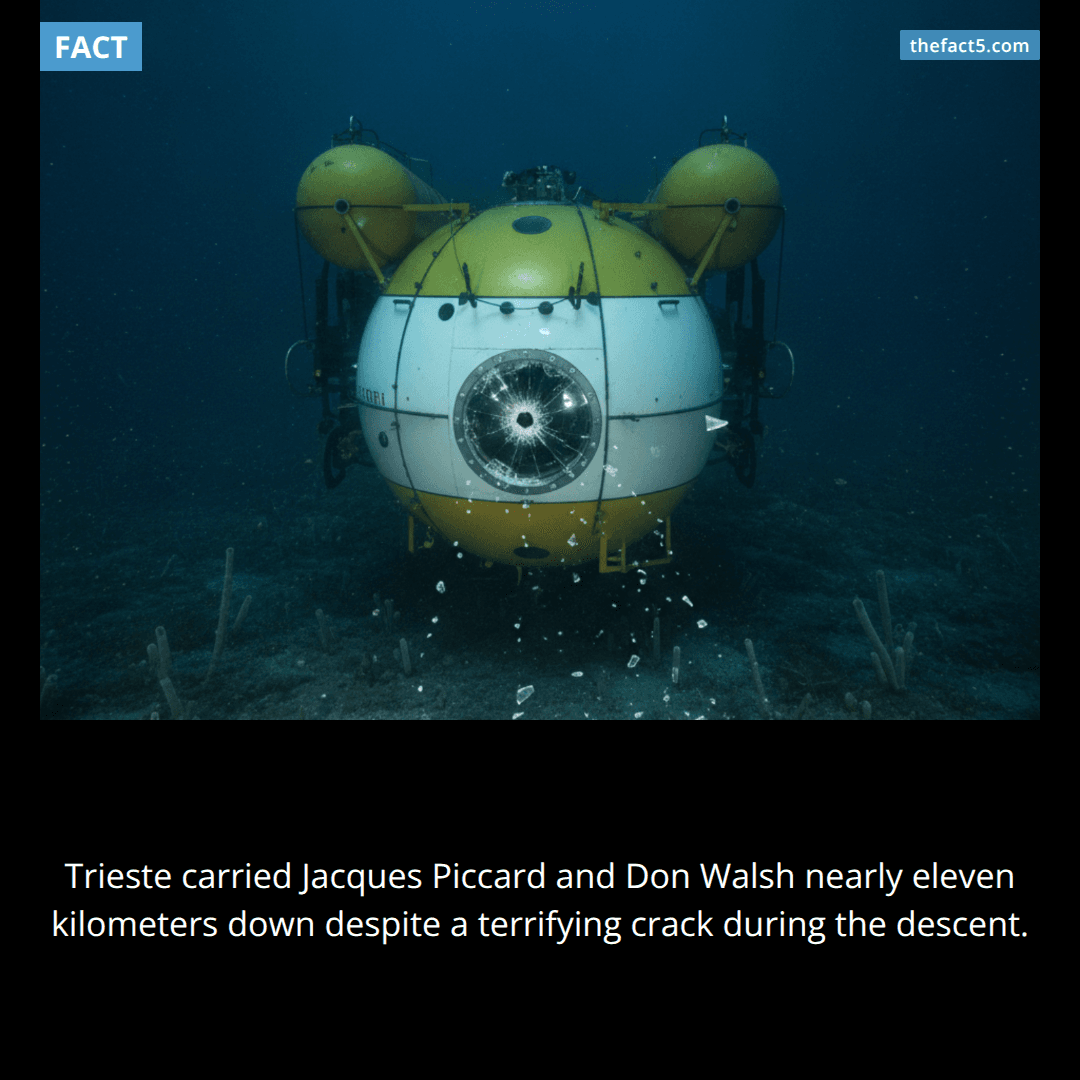 Two men heard their submarine crack 11 kilometers underwater. 🌊
