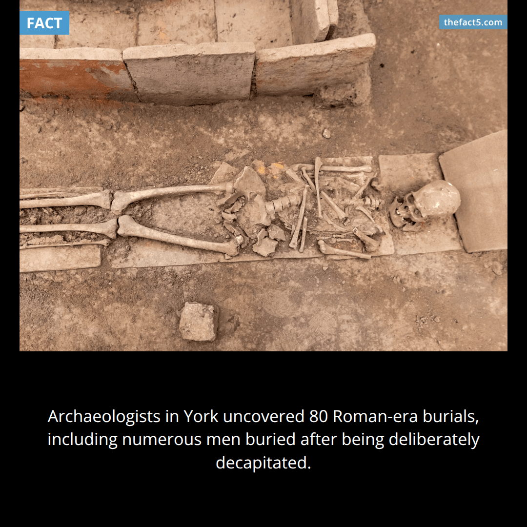 One York cemetery held dozens of headless Roman men. 💀