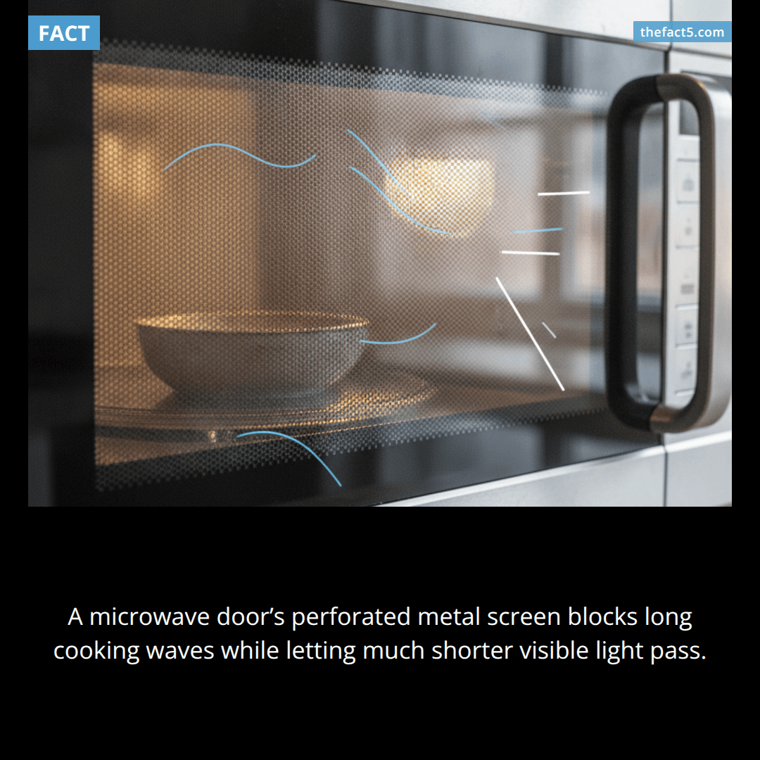Your microwave window is a metal cage in disguise. 📡