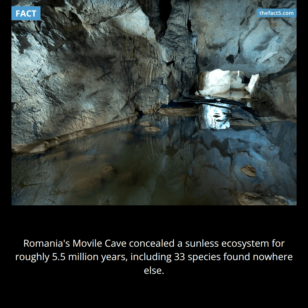 This cave hid its own world for 5.5 million years. π³οΈ