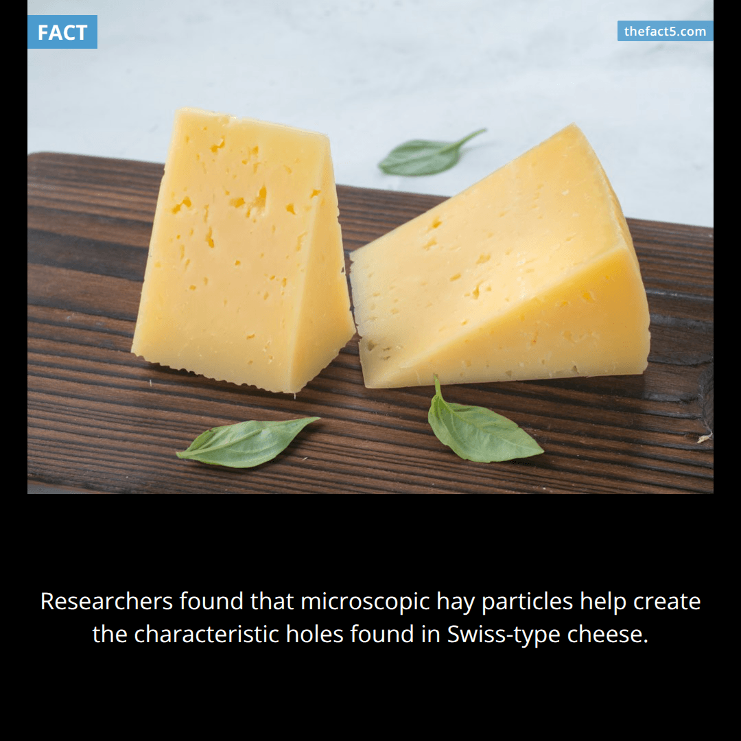 Cleaner milk was making Swiss cheese lose its holes. 🧀