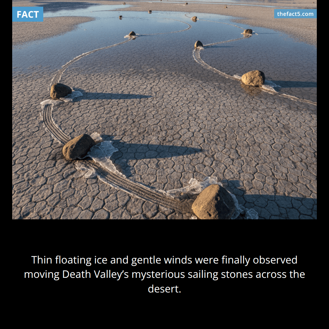 Death Valley's rocks were finally caught moving themselves. πͺ¨