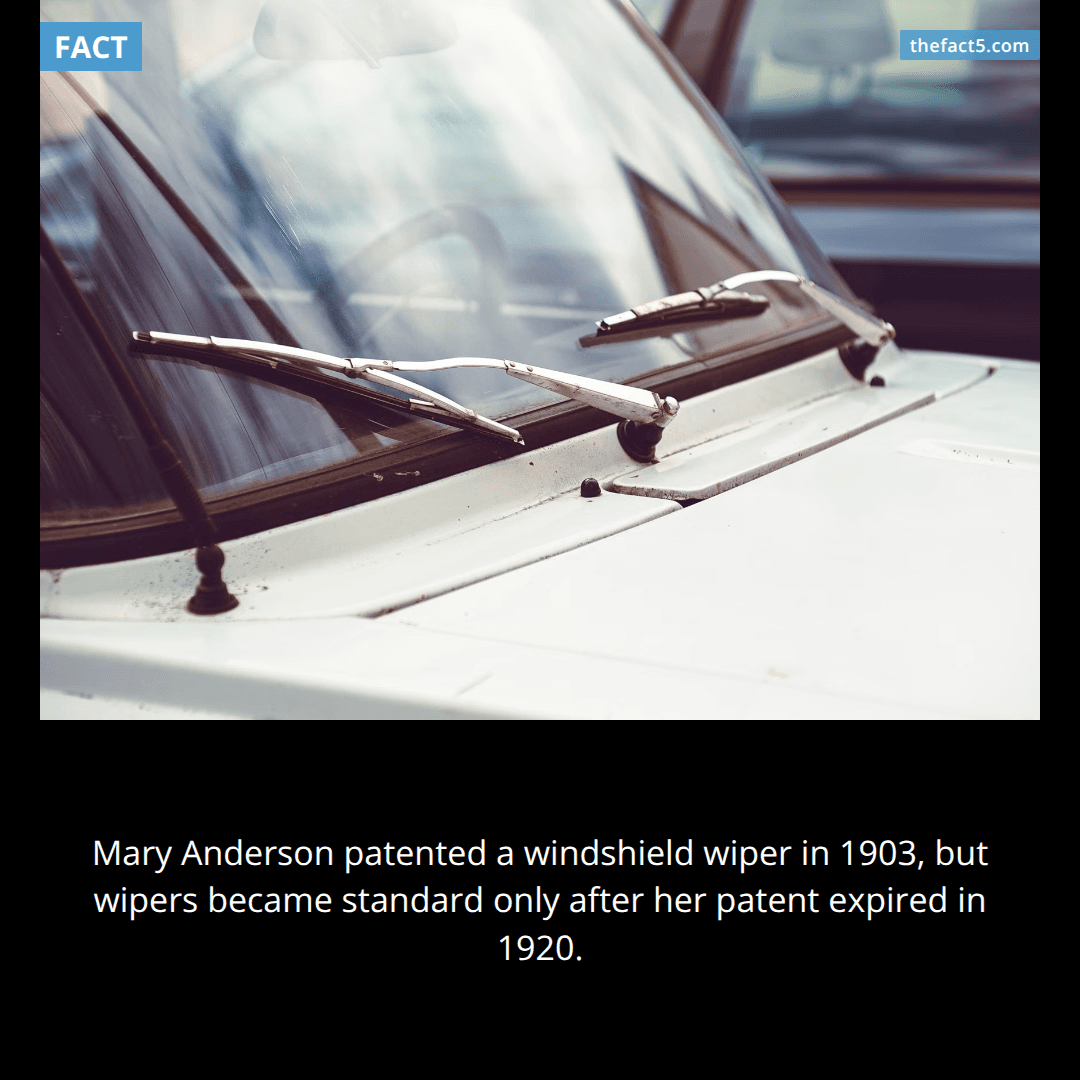 Mary Anderson invented the windshield wiper—and companies said no. 🚗