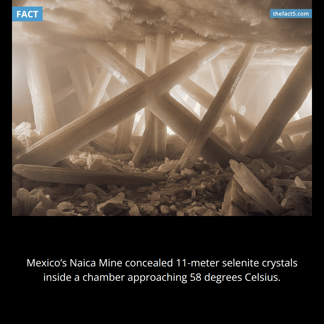 Miners opened a cave filled with 11-meter crystals. 💎