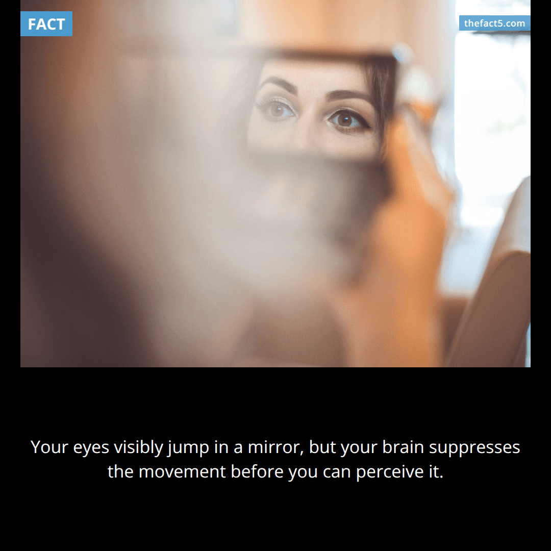 Your mirror hides every jump your eyes make. 👀