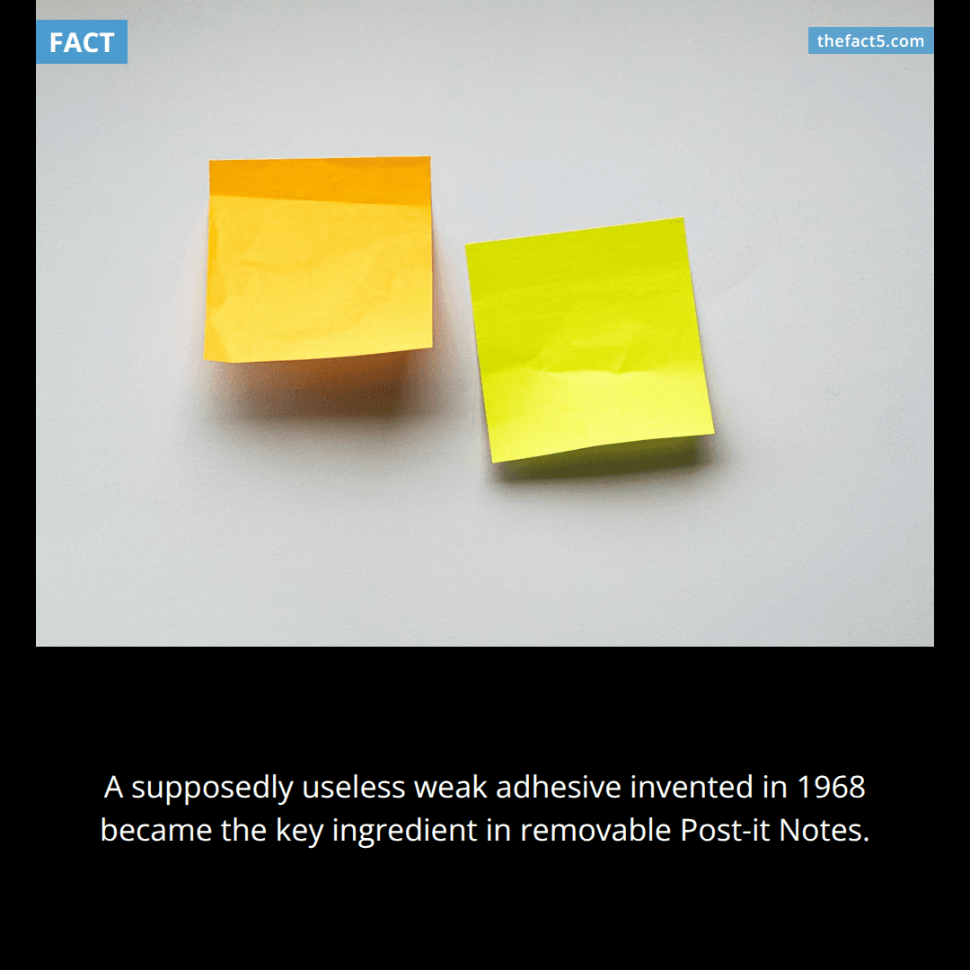 Post-it Notes came from glue that failed to stick. 🗒️