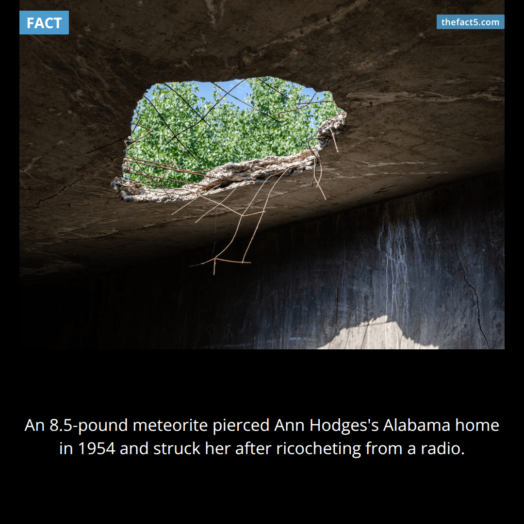A meteorite crashed through Ann Hodges's roof—and hit her. ☄️